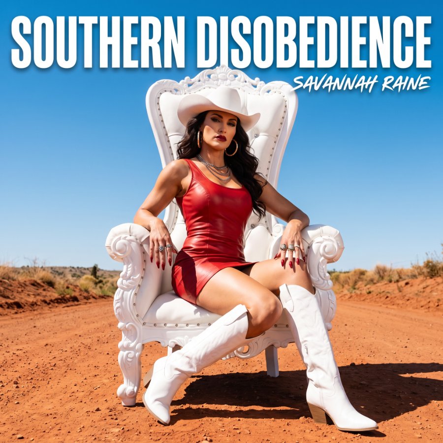 Southern Disobedience cover